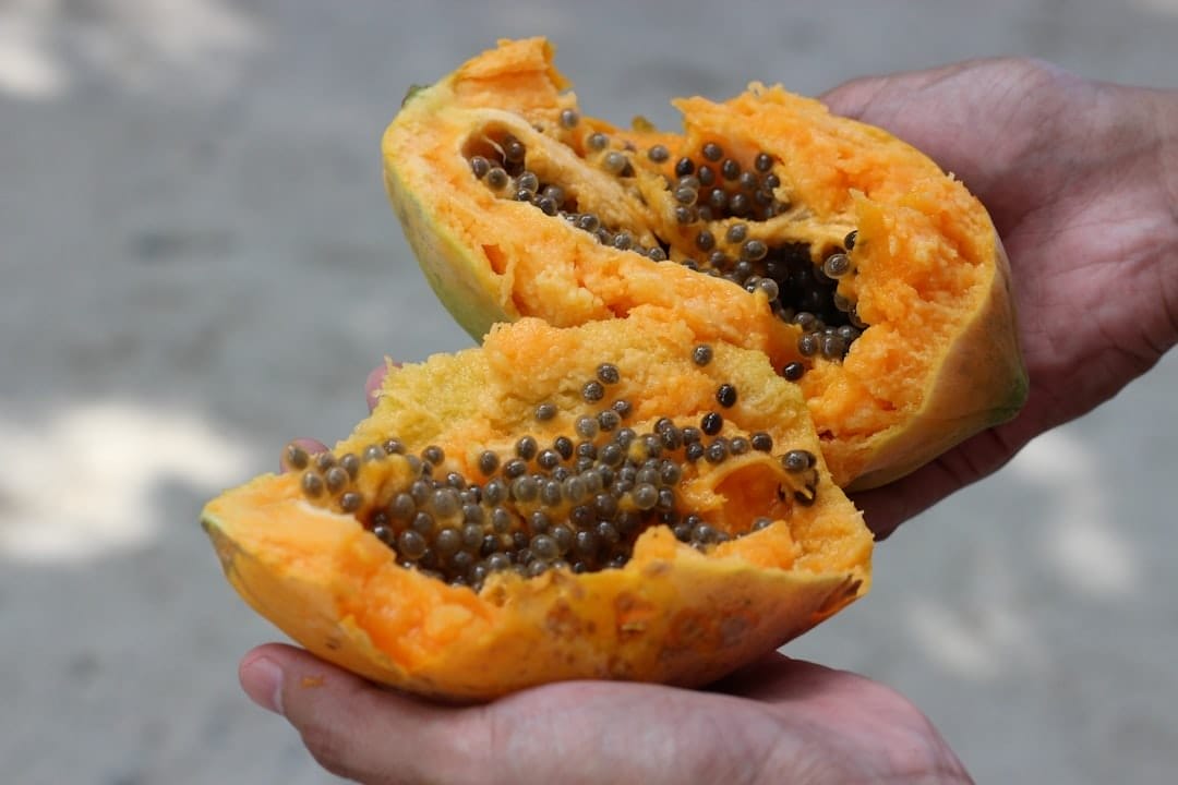 Photo Fresh papaya